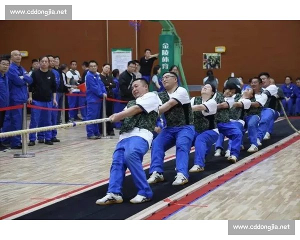 拔河比赛中的团结与力量：一场考验毅力与合作的激烈较量